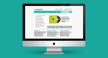 俄羅斯軟件產(chǎn)品開發(fā)公司 在創(chuàng)新與挑戰(zhàn)中前行